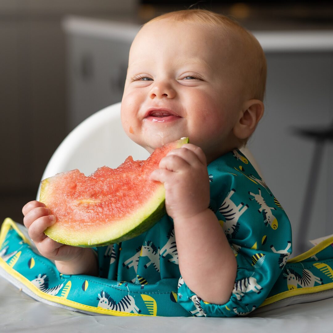 DSC01966 cropped Лигавник за кръгла база Tidy Tot къс ръкав Zebras - Image 1